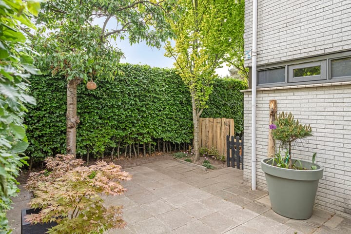 Foto 52 van Steppevlinder 26