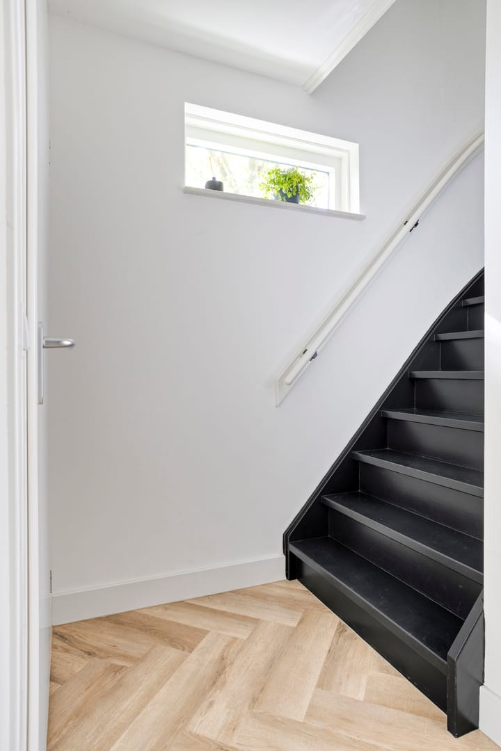 Foto 6 van Steppevlinder 26