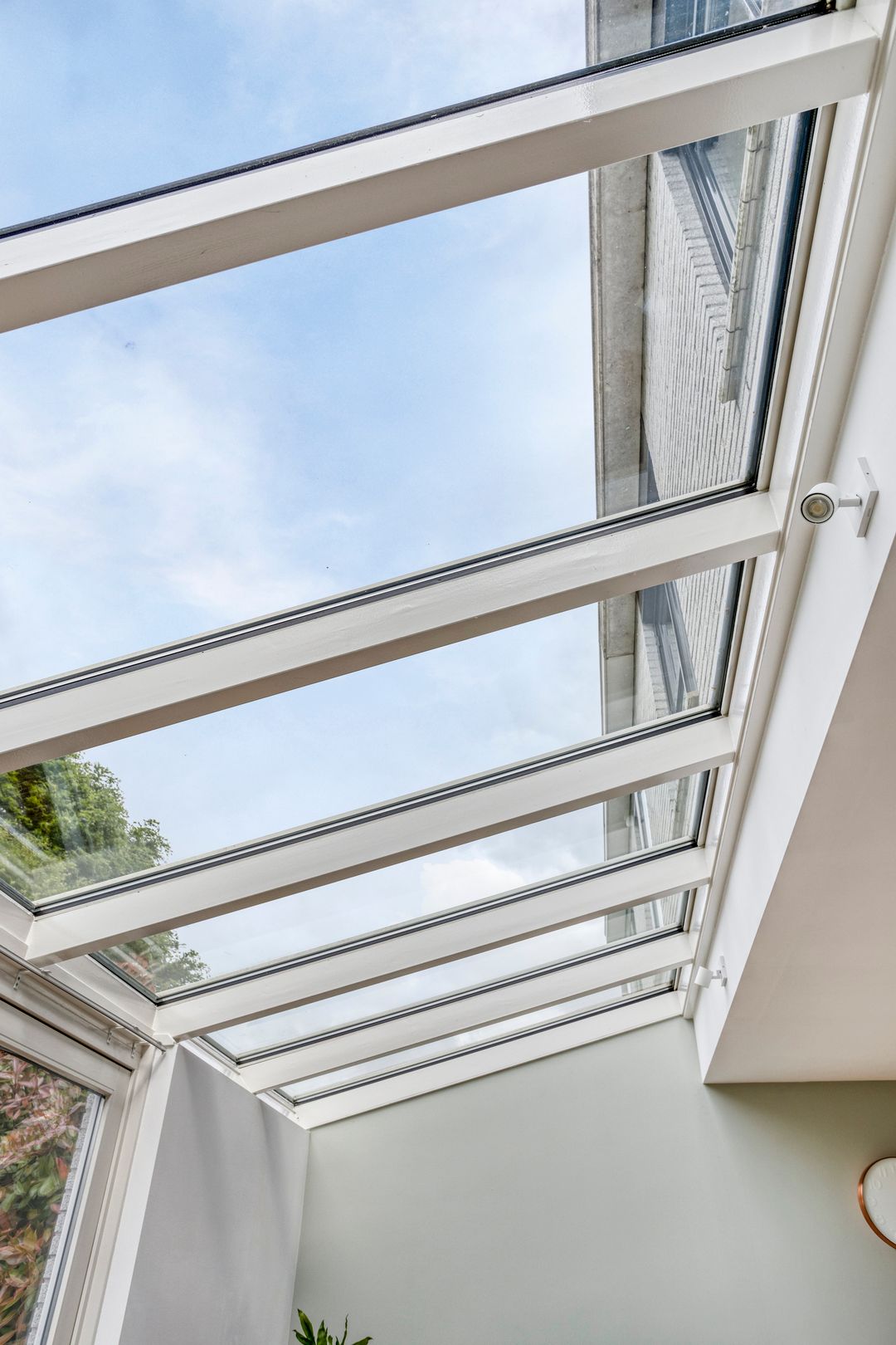 Foto 11 van Steppevlinder 26