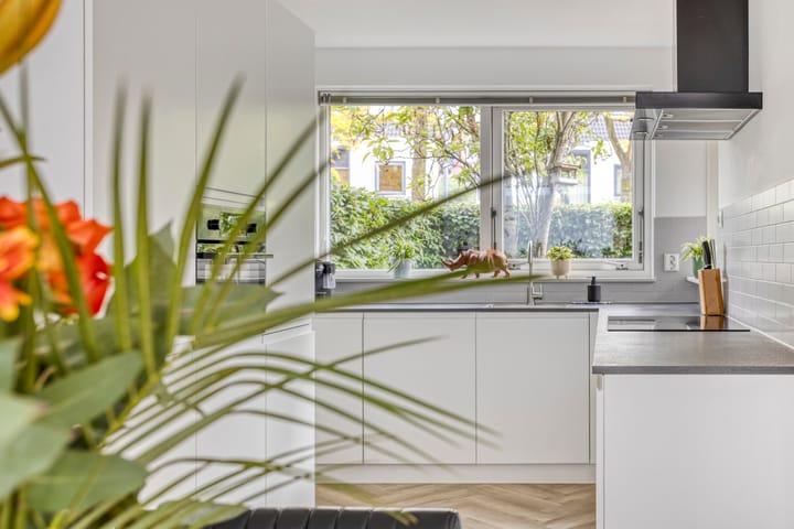 Foto 3 van Steppevlinder 26