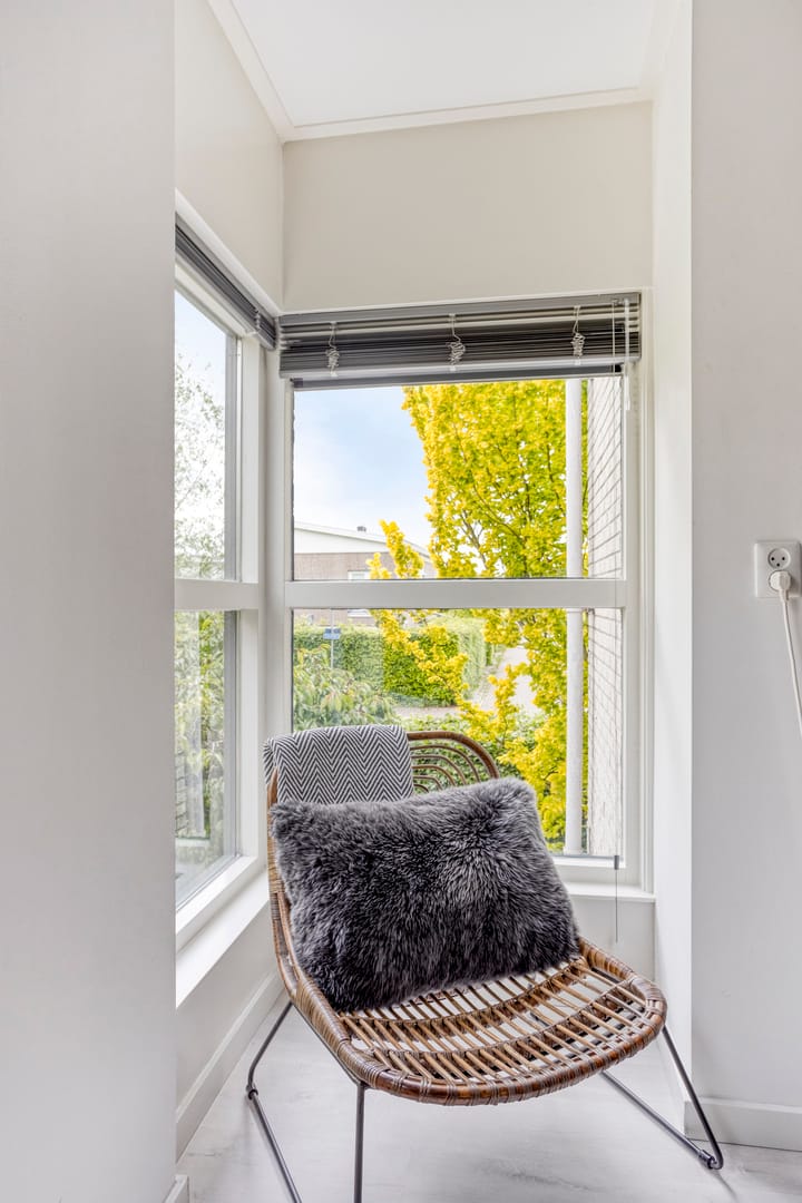 Foto 25 van Steppevlinder 26