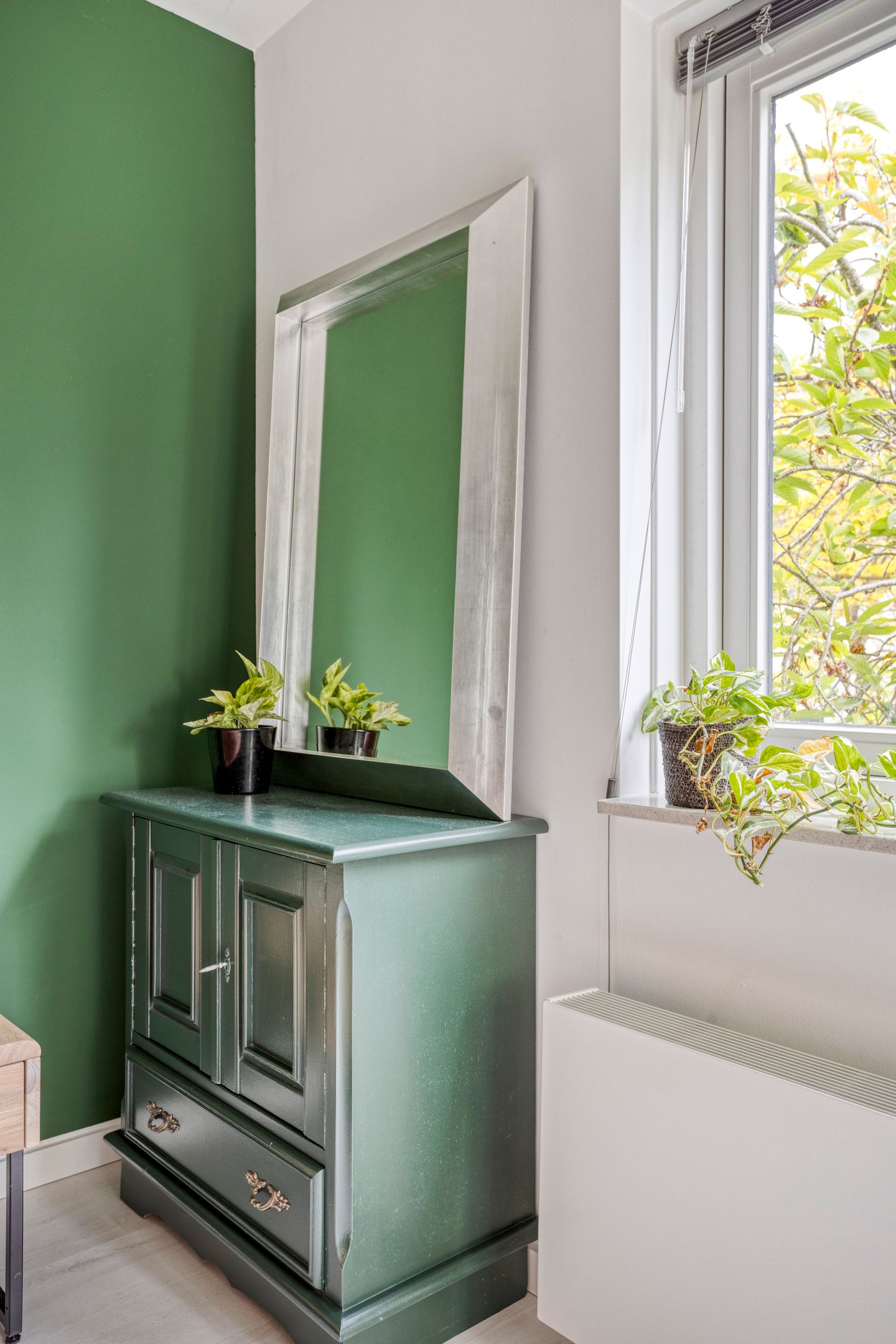 Foto 24 van Steppevlinder 26