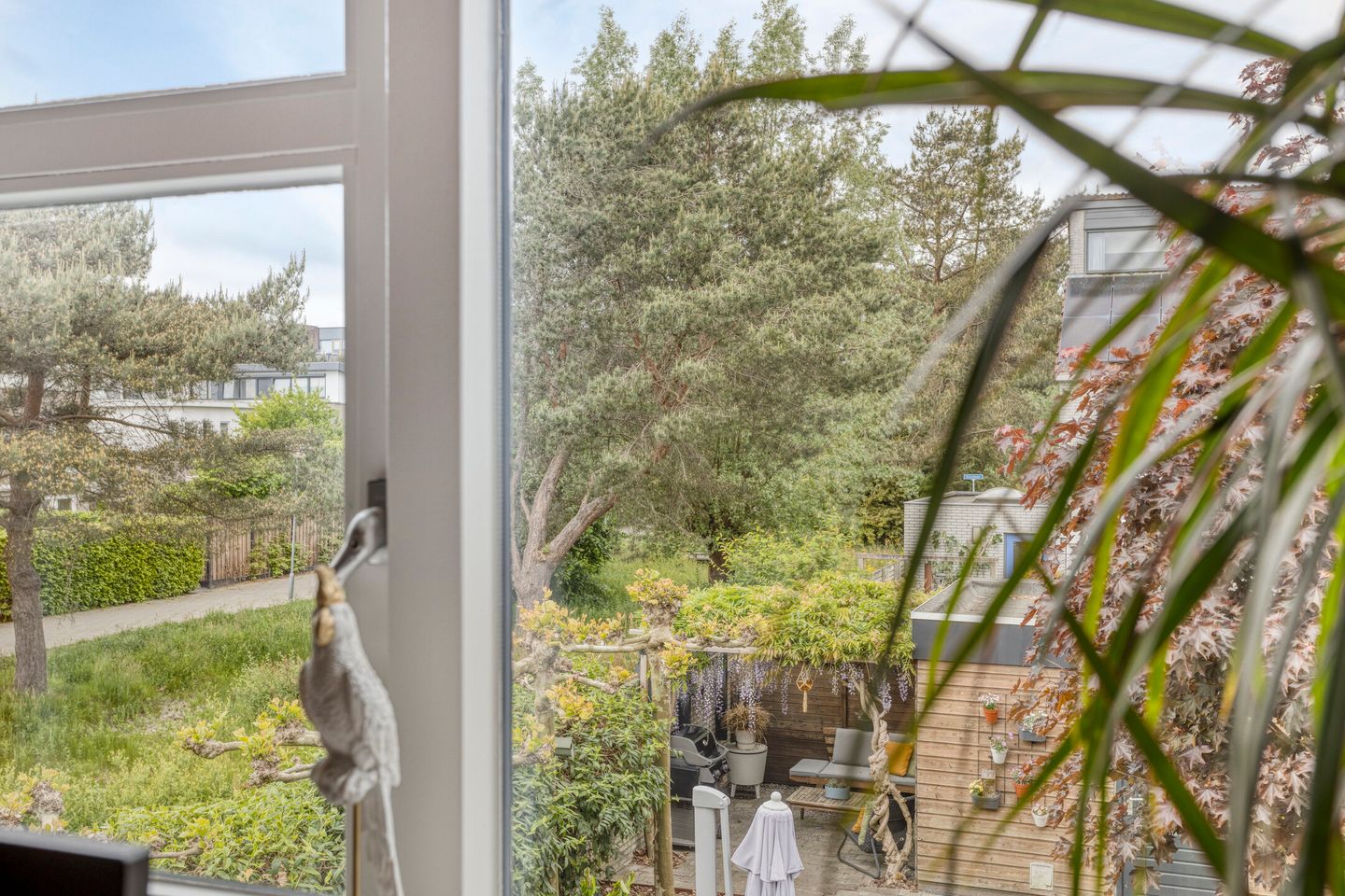 Foto 29 van Steppevlinder 26