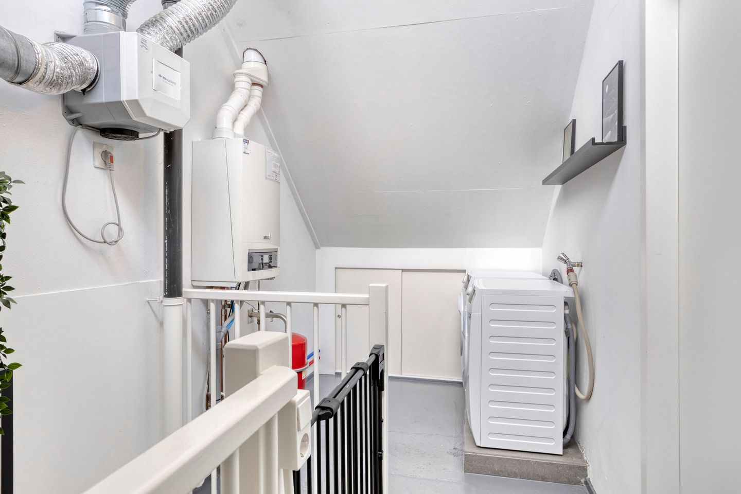 Foto 35 van Steppevlinder 26