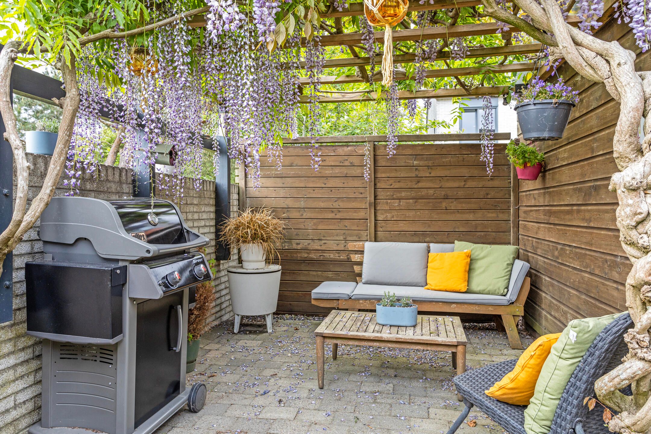 Foto 45 van Steppevlinder 26