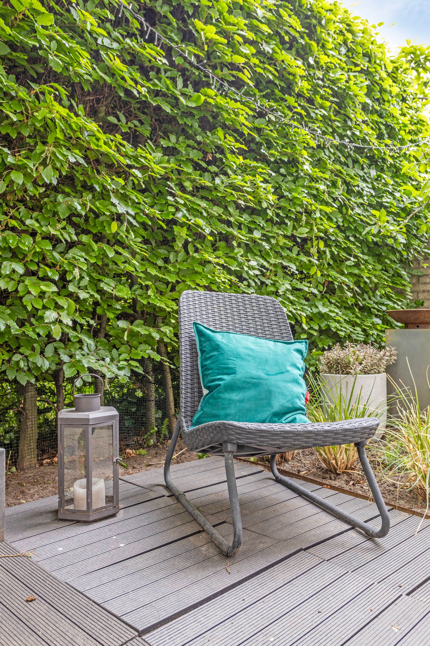 Foto 50 van Steppevlinder 26