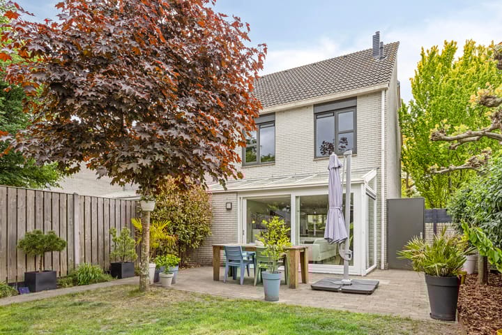 Foto 5 van Steppevlinder 26