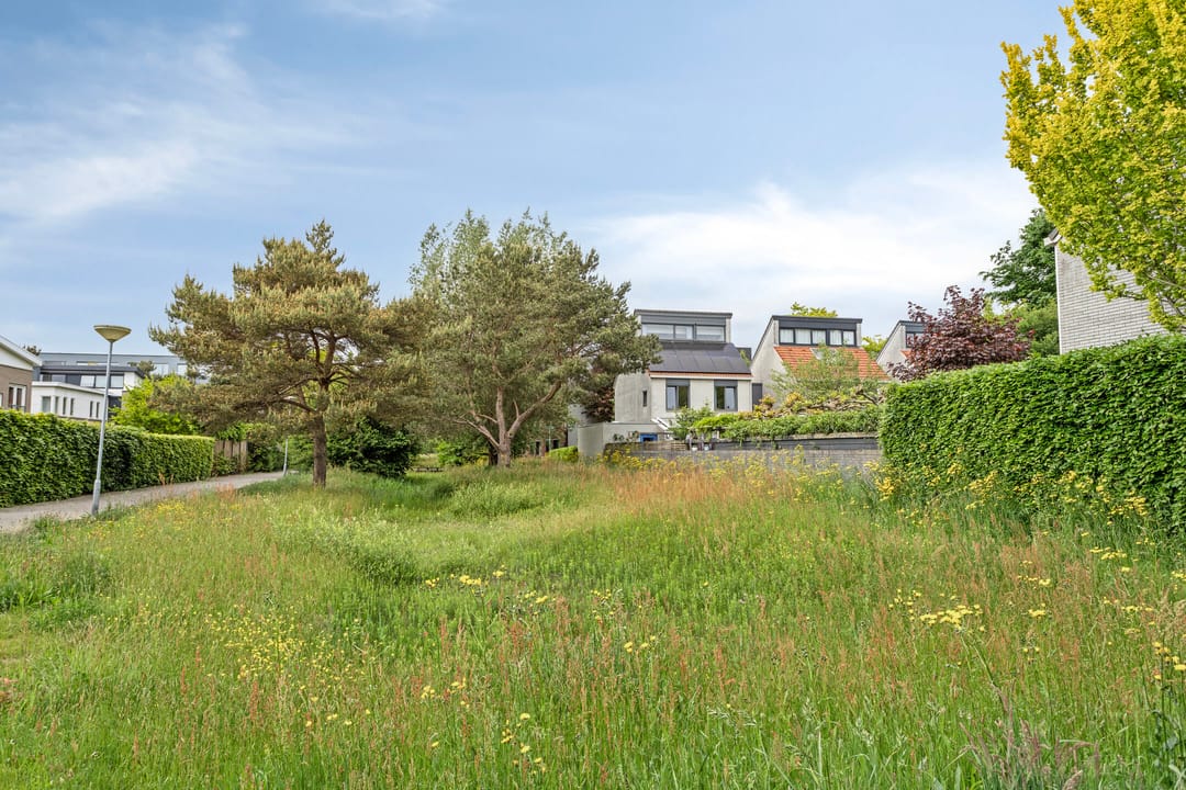 Foto 58 van Steppevlinder 26