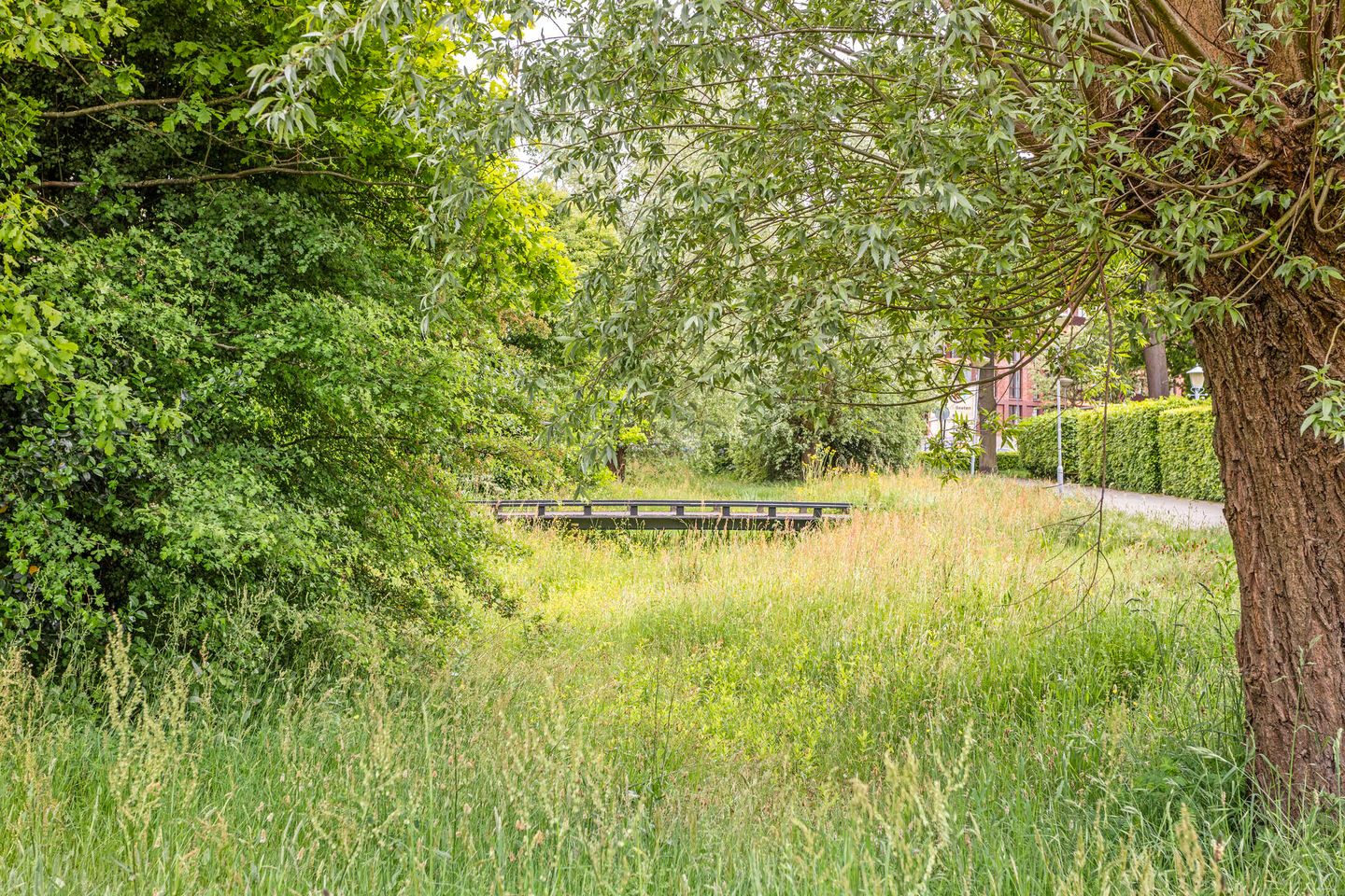 Foto 59 van Steppevlinder 26