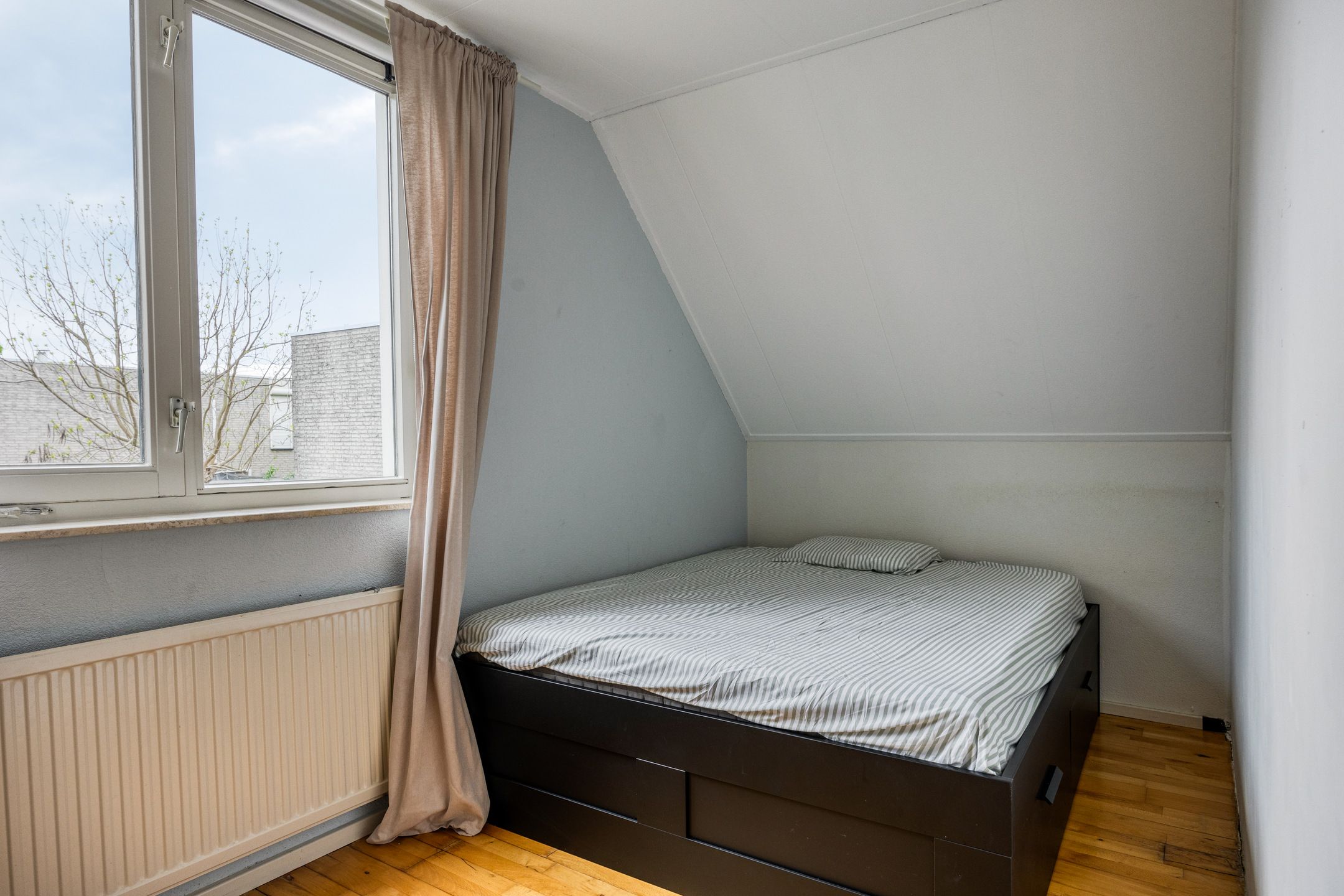 Foto 39 van Zilverpark 52