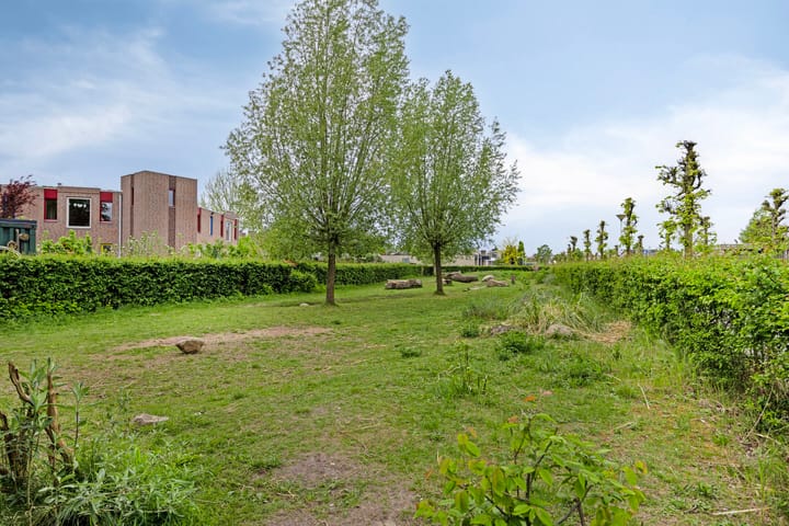 Foto 48 van Zilverpark 52