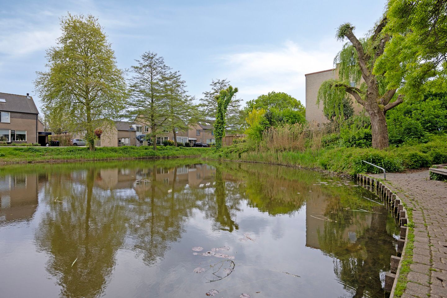 Foto 50 van Zilverpark 52