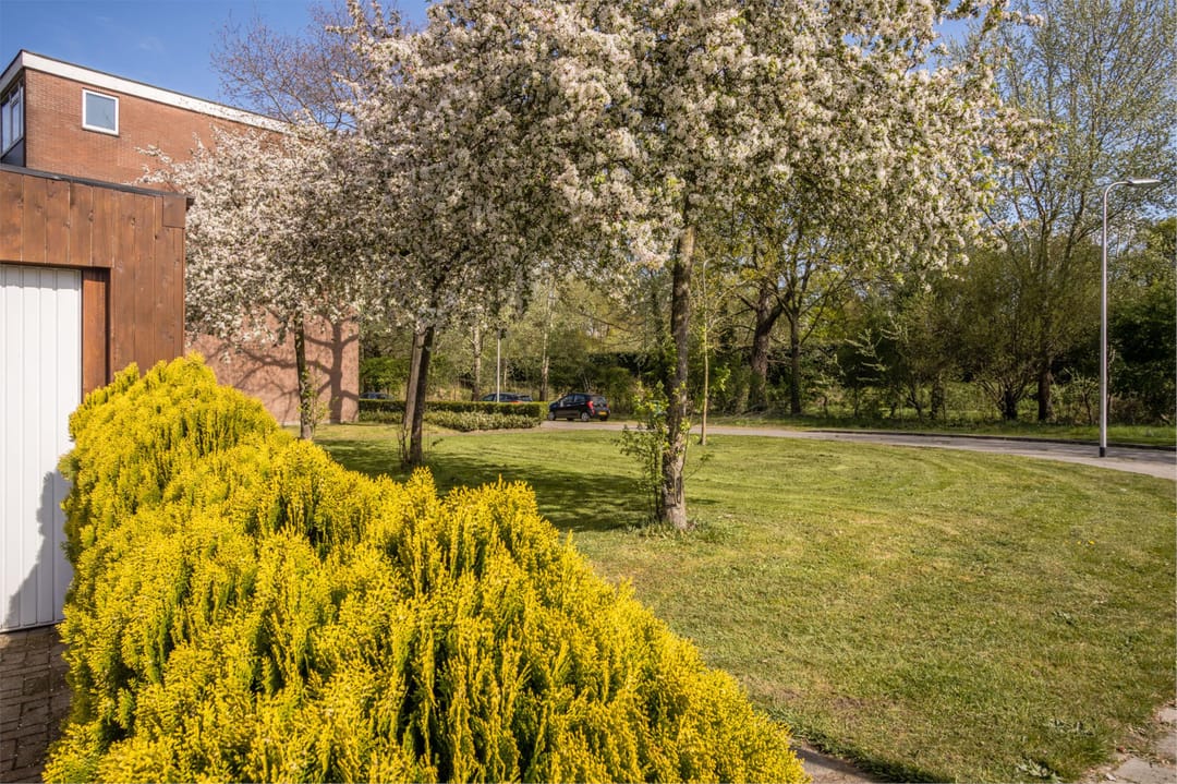 Foto 37 van Zoomkade 71