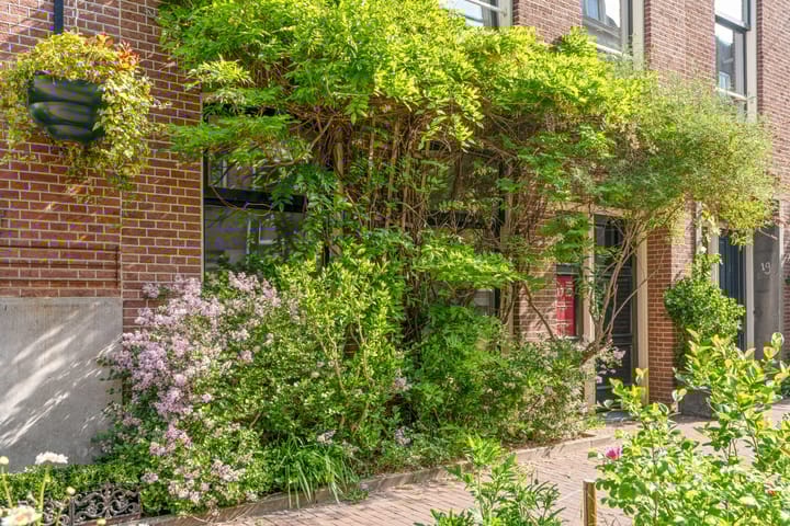 Photo 5 of Quellijnstraat 17-H