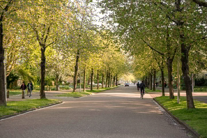 Foto 42 van Gustav Mahlerlaan 341