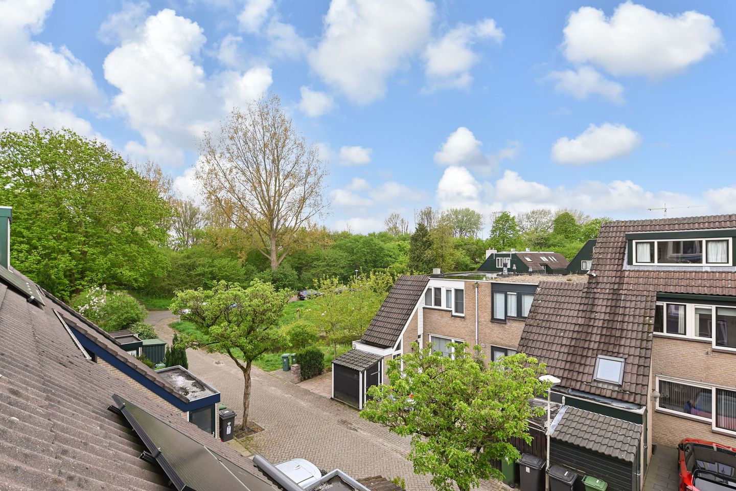 Foto 50 van Salamandersloot 40