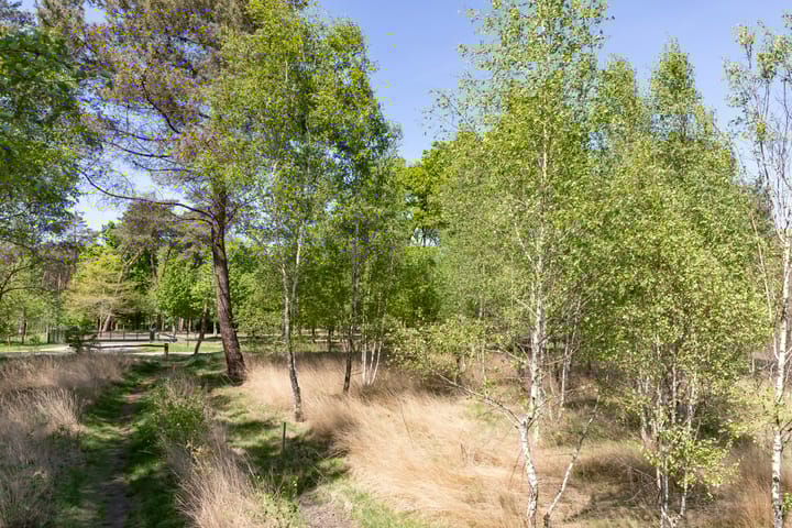 Foto 38 van Kromvensedijk 4