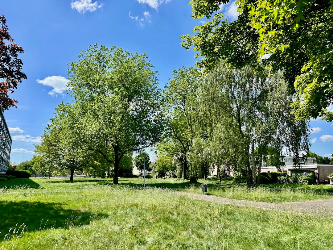 Foto 43 van Kloosterlaan 161