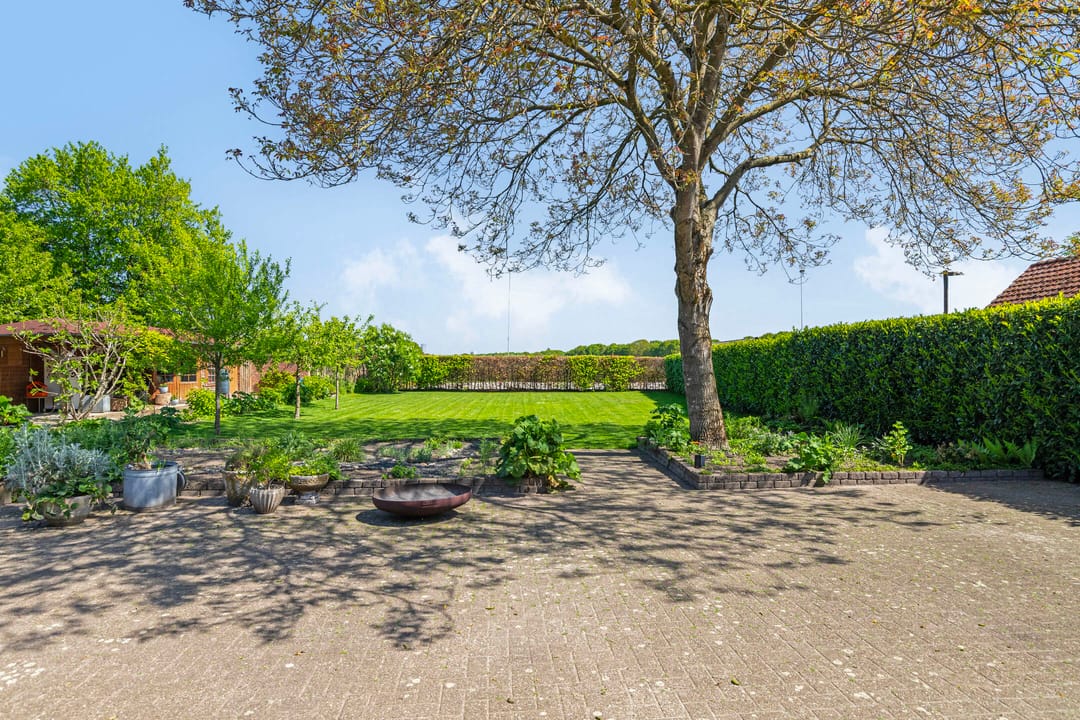 Foto 8 van Zandeind 26