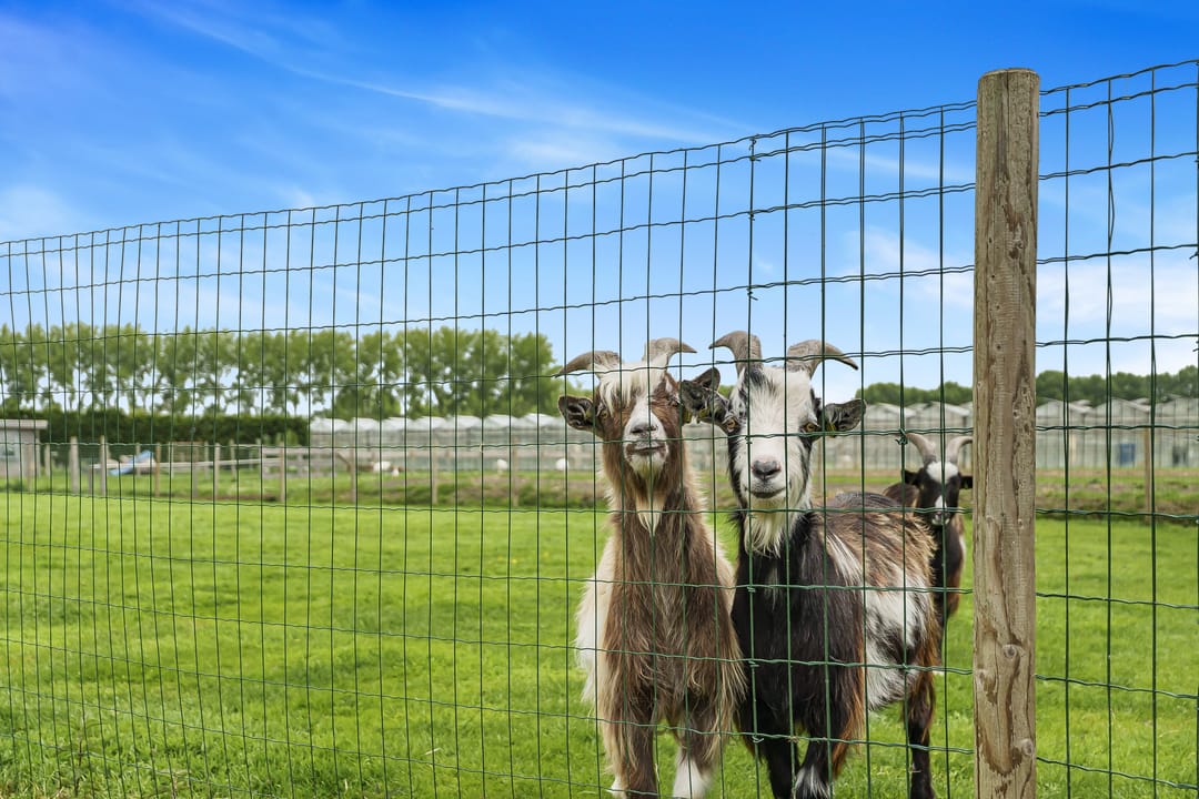 Foto 41 van Lagendijk 311