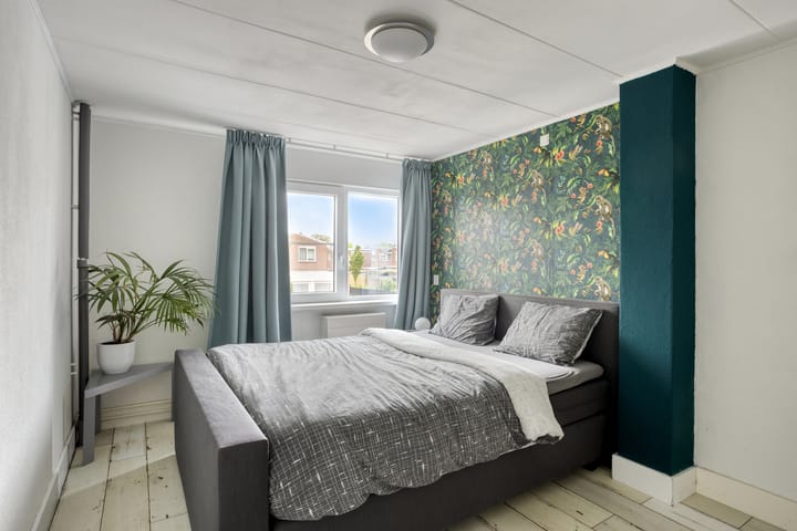 Photo 19 of Dubbelmonde 47