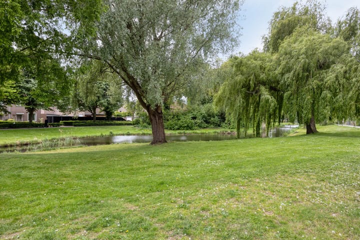 Photo 31 of Dubbelmonde 47