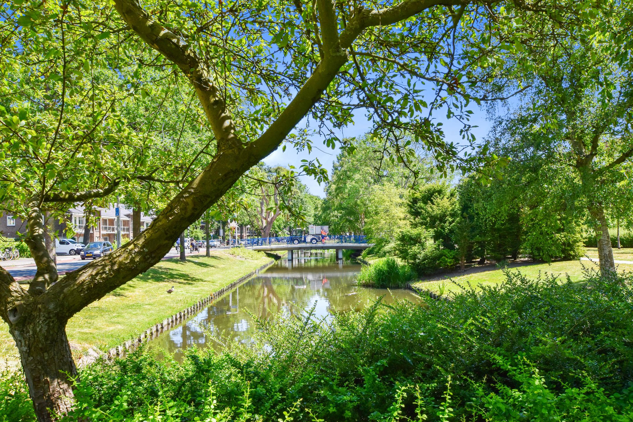 Foto 36 van De Savornin Lohmanlaan 31