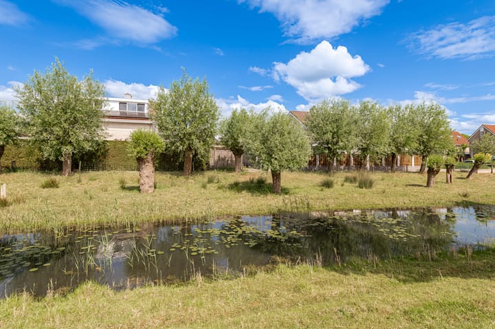 Photo 42 of Luthulisingel 40