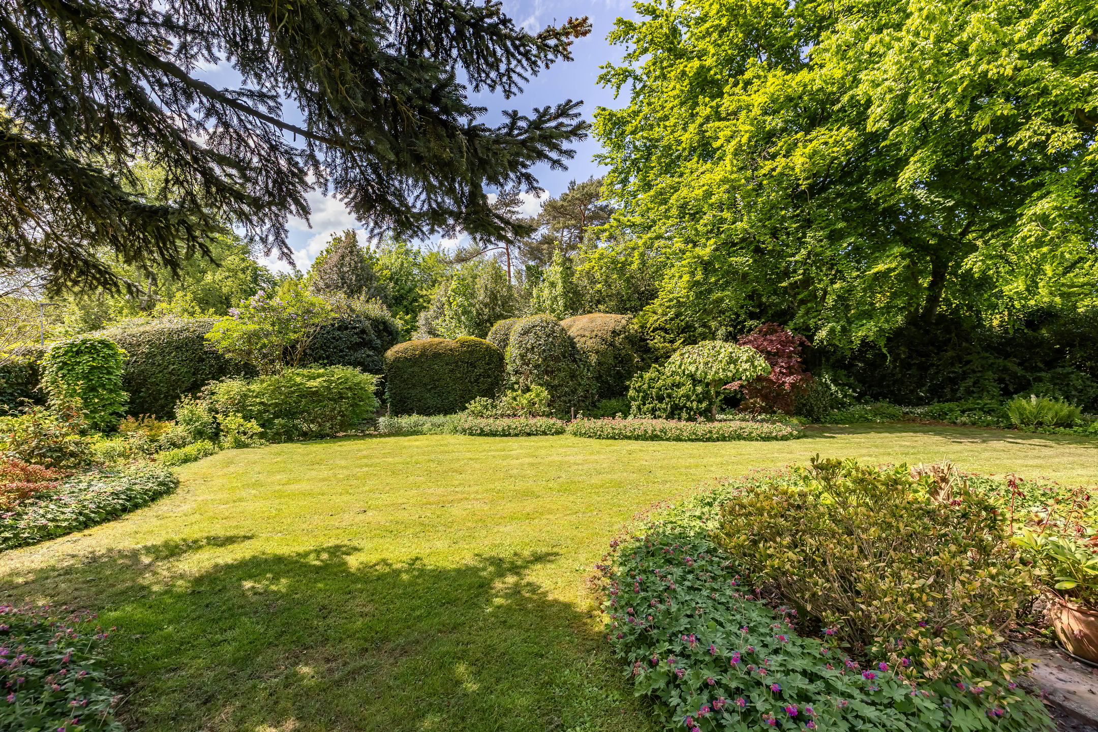 Foto 3 van Borgerspark 79