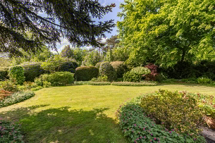 Foto 3 van Borgerspark 79