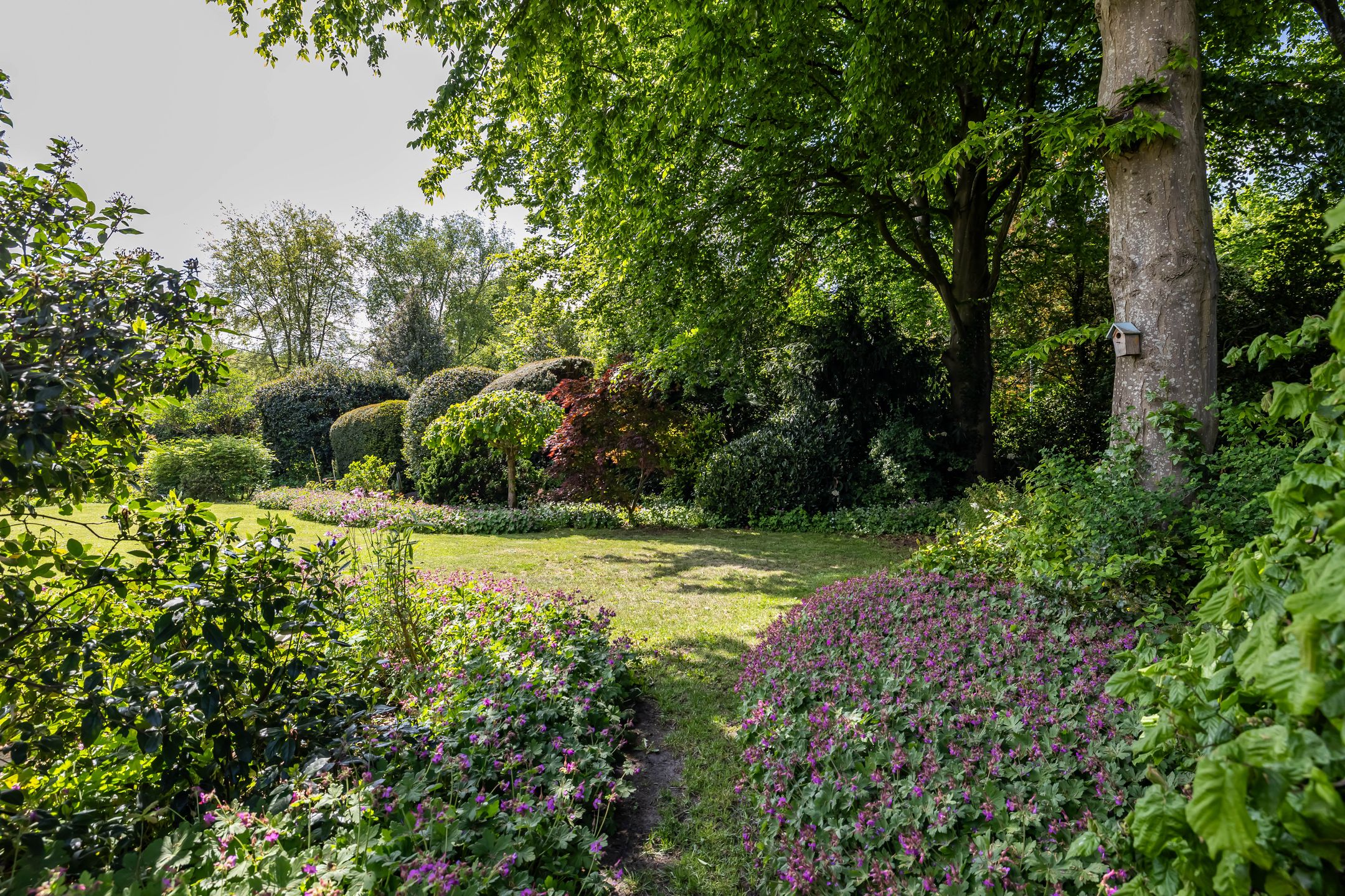 Foto 60 van Borgerspark 79