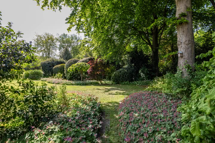 Foto 60 van Borgerspark 79