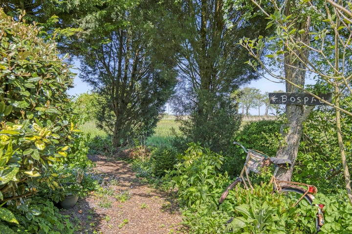 Foto 33 van Wolddijk 58