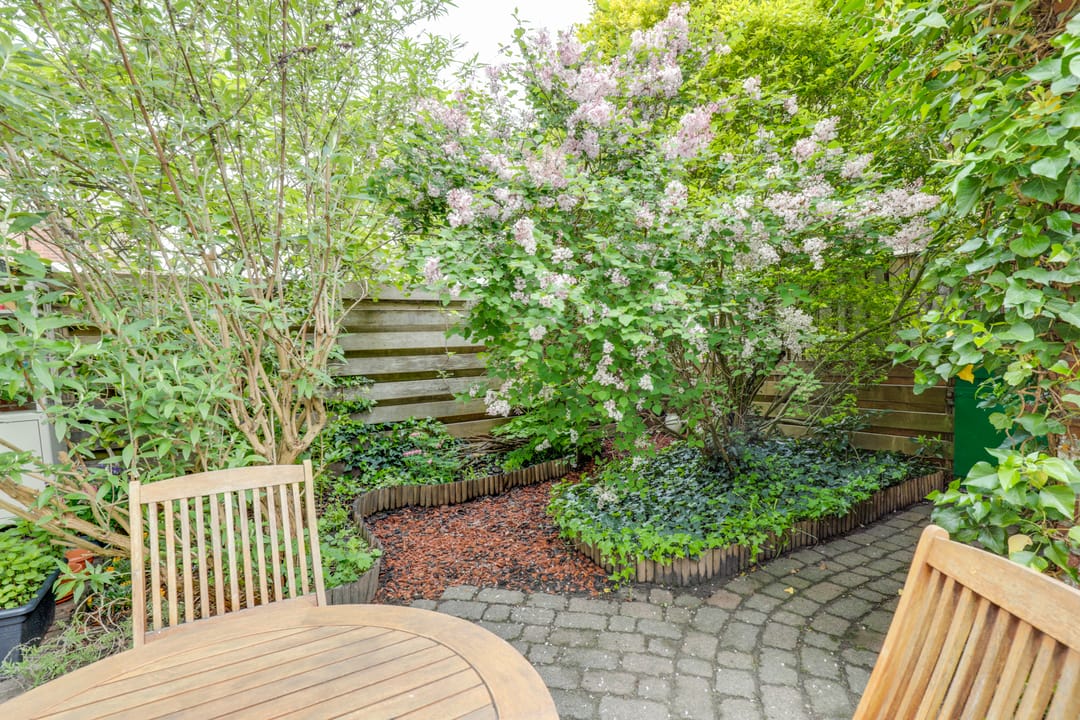 Foto 43 van Adriaen van Ostadelaan 110