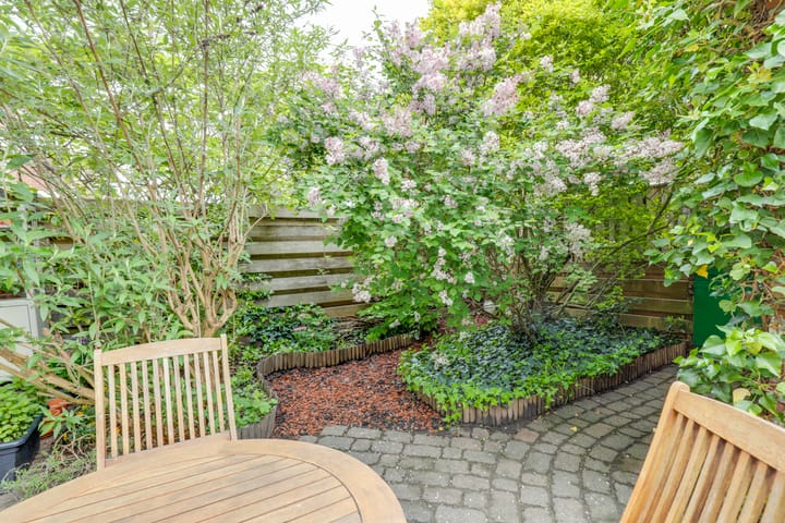 Photo 43 of Adriaen van Ostadelaan 110