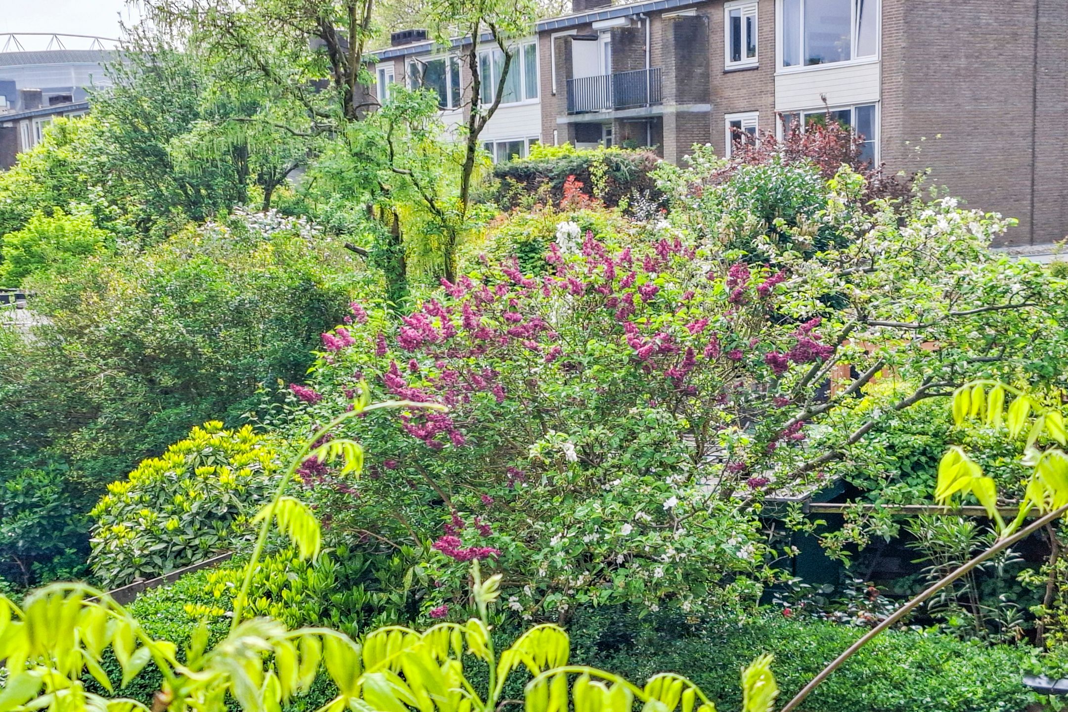 Foto 45 van Adriaen van Ostadelaan 110