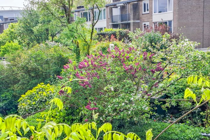 Photo 45 of Adriaen van Ostadelaan 110