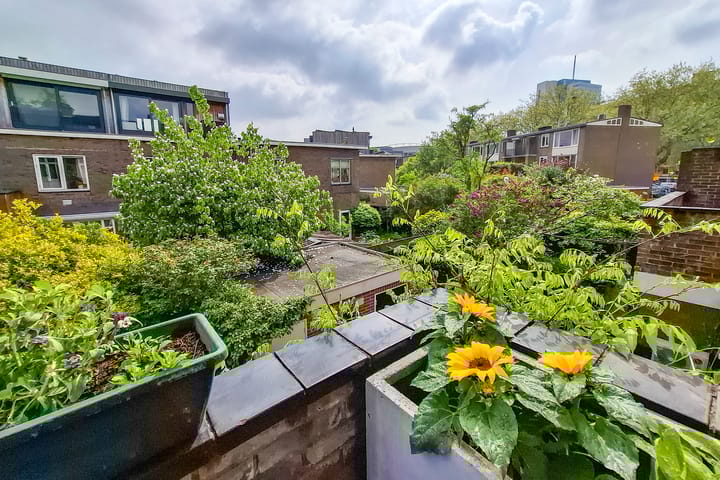 Photo 46 of Adriaen van Ostadelaan 110