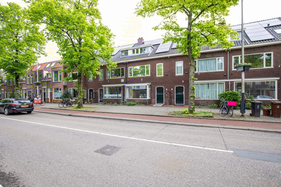 Foto 47 van Adriaen van Ostadelaan 110