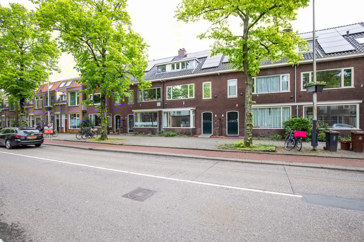 Photo 47 of Adriaen van Ostadelaan 110