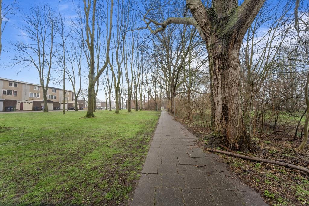 Foto 25 van Fjord 104