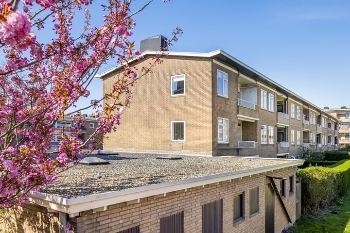 Foto 4 van Ridderplantsoen 21-2