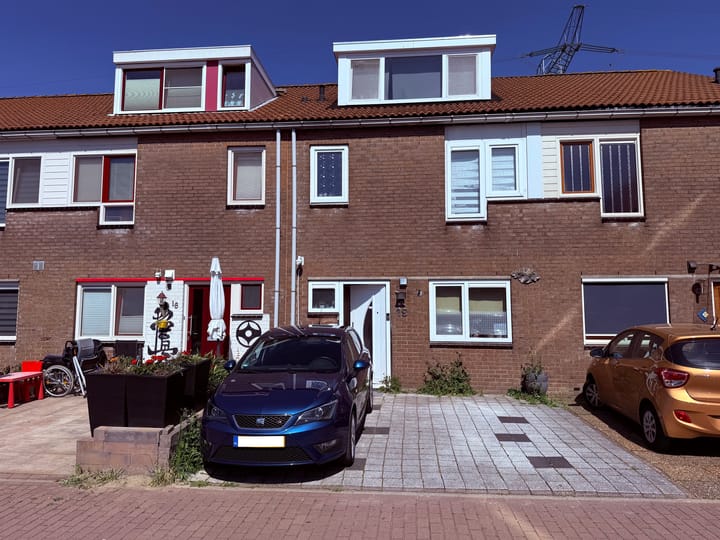 Houtsnede 19