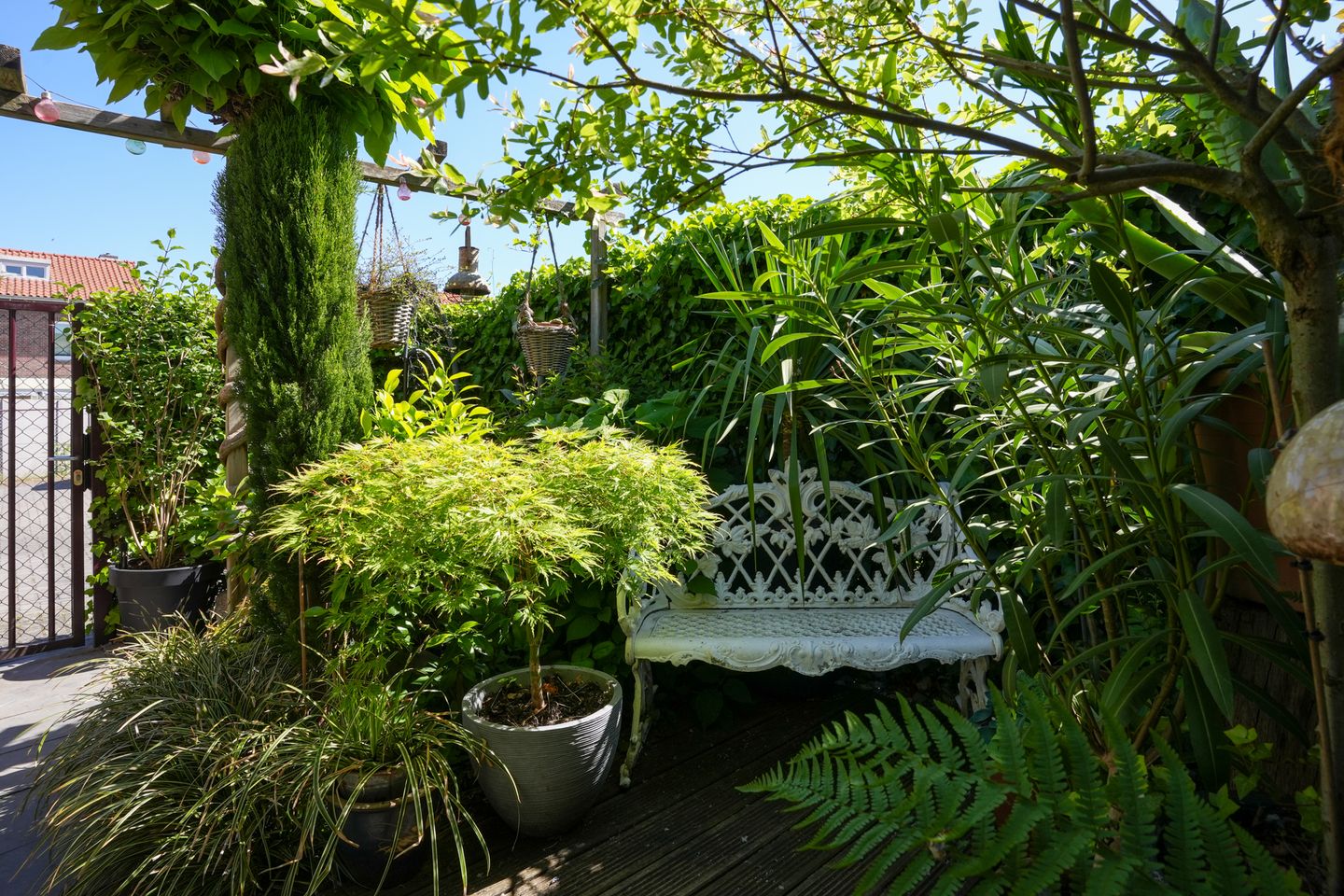 Photo 35 of Paus Johannes XXIII straat 6