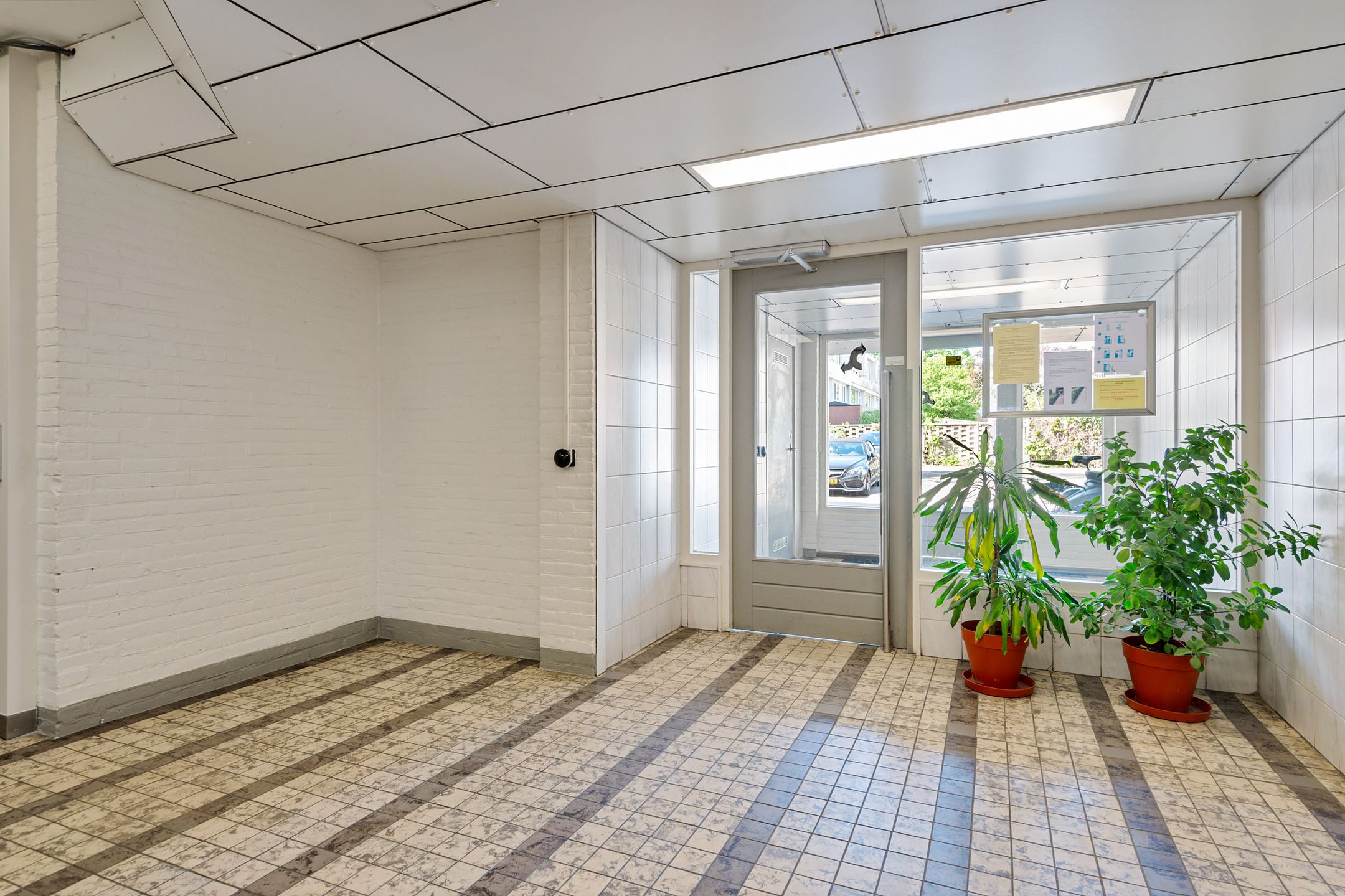 Photo 3 of Biesbosch 203