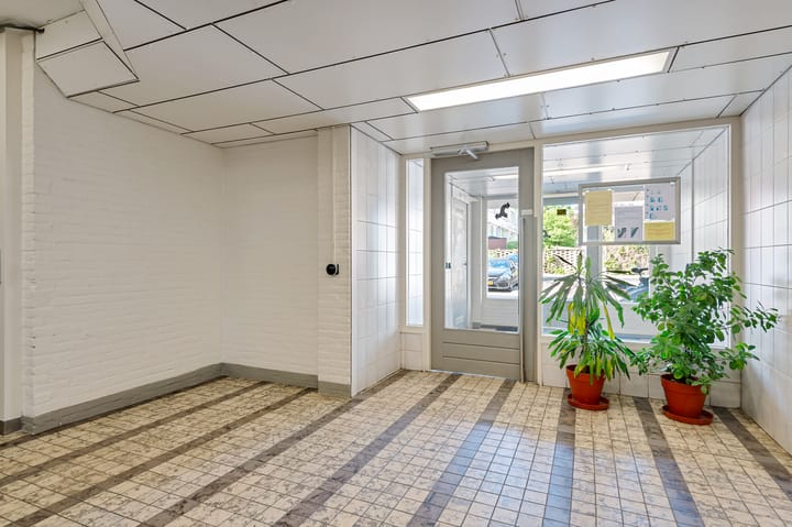 Foto 3 van Biesbosch 203