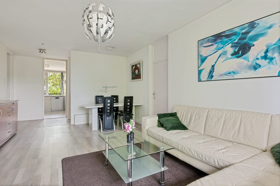 Photo 7 of Biesbosch 203