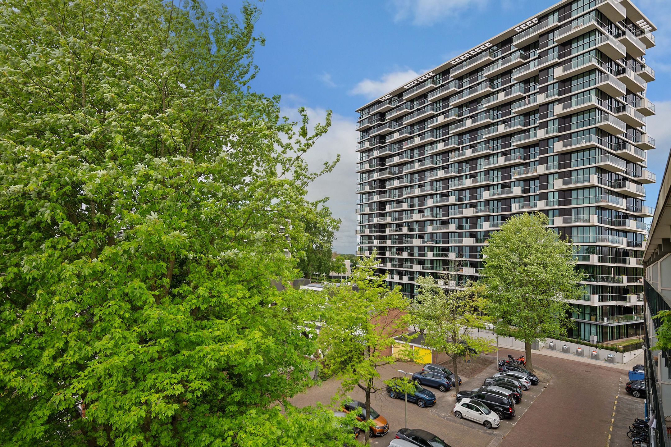 Photo 24 of Biesbosch 203