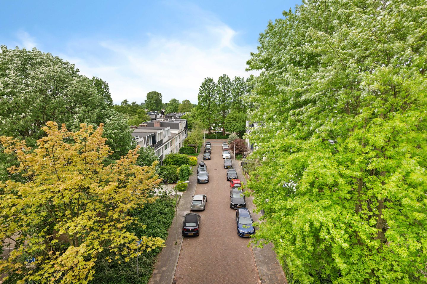 Photo 25 of Biesbosch 203