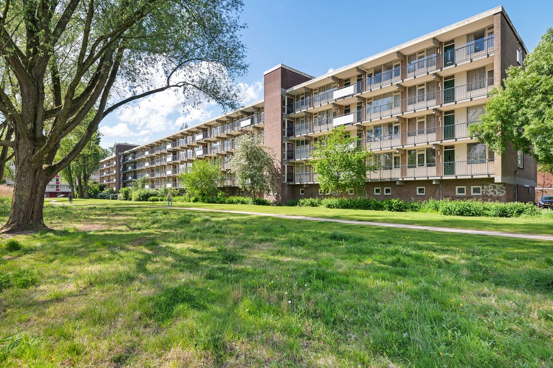 Photo 26 of Biesbosch 203